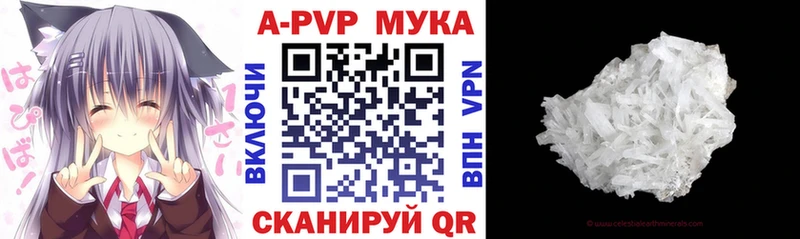 Alfa_PVP СК Ливны