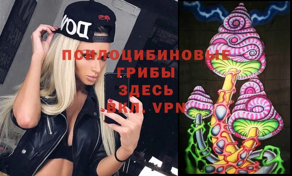 шишки Аркадак