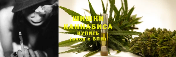 шишки Аркадак