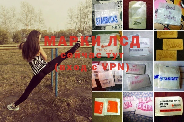 гашик Баксан