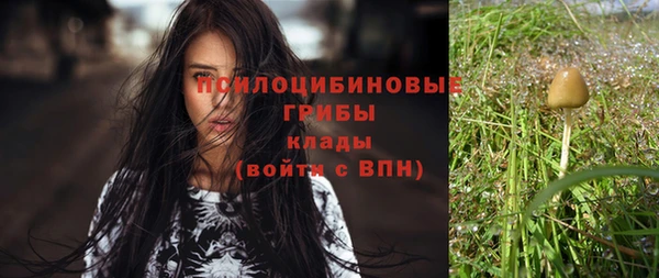 прущие грибы Балахна