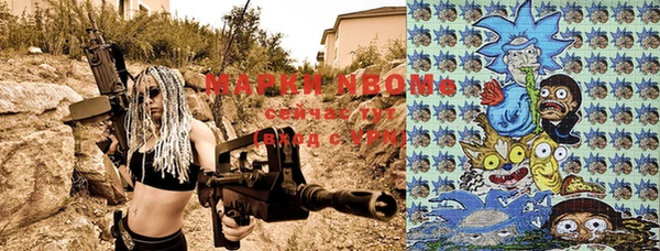 шишки Аркадак