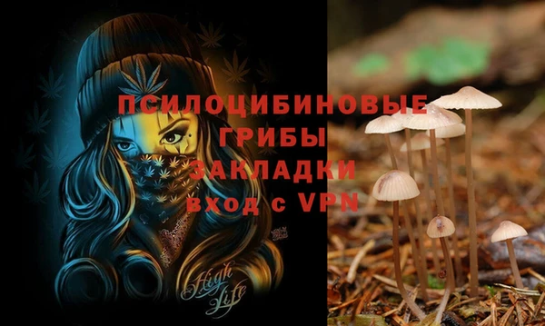 шишки Аркадак