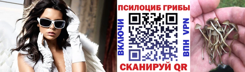 MEGA ТОР Ливны Галлюциногенные грибы GOLDEN TEACHER
